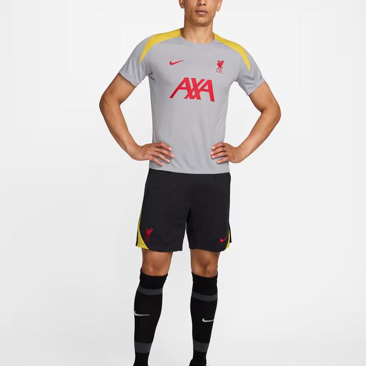 Nike Ливерпуль Dri-Fit FW24 ФК. Футболка-пуловер Strike Third Knit с коротким рукавом, мужская, светло-дымчато-серая FQ2611-078