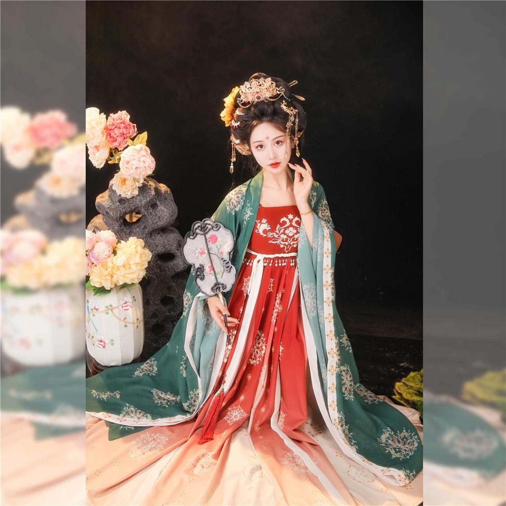 Chinese Tang Dynasty Style HE ZI Dress Hanfu Women's Suit Embroidered Daily Suit