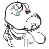 Automotive Stand Alone Wire Harness T56 DBC Drive By Wire for LS Engine 4.8 5.3 6.0