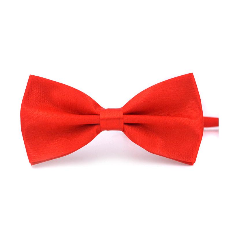 Double Bow Tie Men's Solid Shiny Casual Adult Multi Multi Colours