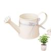 New Lightweight Plant Watering Can Sprinkler Head Rust Resistant Watering Pot Gingham Ribbon Garden Watering Can Indoor Plants