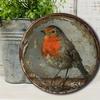 Винтажный настенный декоративный логотип Робин - Круглая тарелка из МДФ 8 дюймов, Тема птиц, Многоцелевое настенное украшение, Подходит
