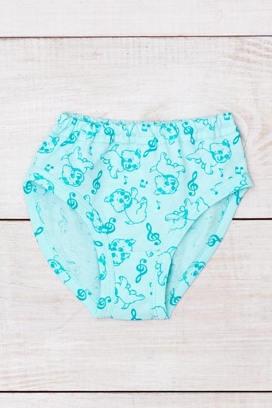 Panties (Girls) Any Season 272-002V HC