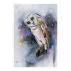 Alison Mcilkenny Owl Watching Print
