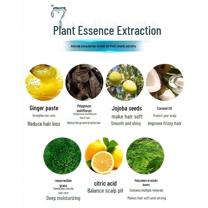 Zhuolanya Ginger Resurrection Grass Nourishing Repair Shampoo