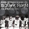 Stray Kids Социальный путь Feat. Lisa Super Bowl японская версия.  Обычное издание 