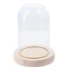 Tabletop Centerpiece Glass Bell Shape Dome with Wooden Base Bell Jar Display Case Home Decor