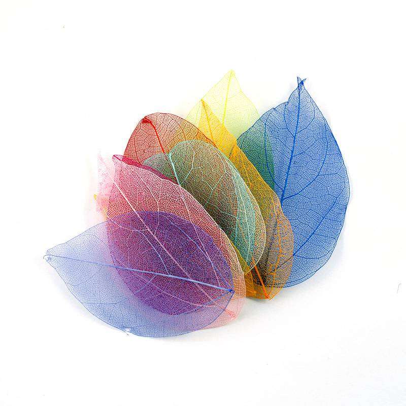 Тиснение 30 шт. Сухоцветы Чехол для телефона DIY Орнамент Аксессуары Ручная работа Материал Натуральный Алмаз Вены Изготовление Тиснение