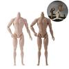 31cm Height 1/6 Male Body Joint Movable Action Figure Body Male Model Doll's Accessories
