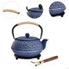 Japanese Cast Iron Teapot Tetsubin Tea Pot for Boiling Water Internal Enamel 900ml