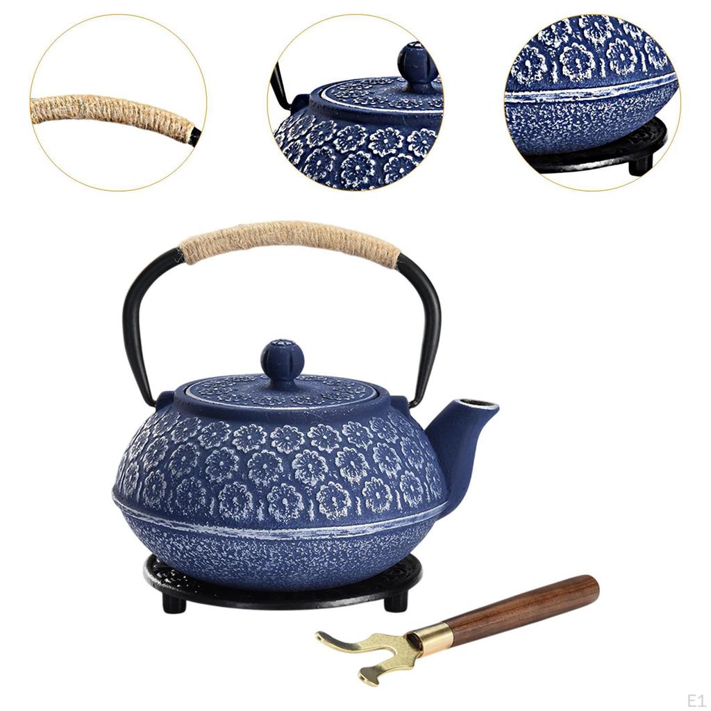 Japanese Cast Iron Teapot Tetsubin Tea Pot for Boiling Water Internal Enamel 900ml