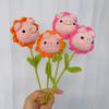 Crochet Positive Animals Funny Positive Pig Crochet Flower Emotional Support Pig Valentine Crochet Pig Flower Handmade Appreciation Gifts for Women