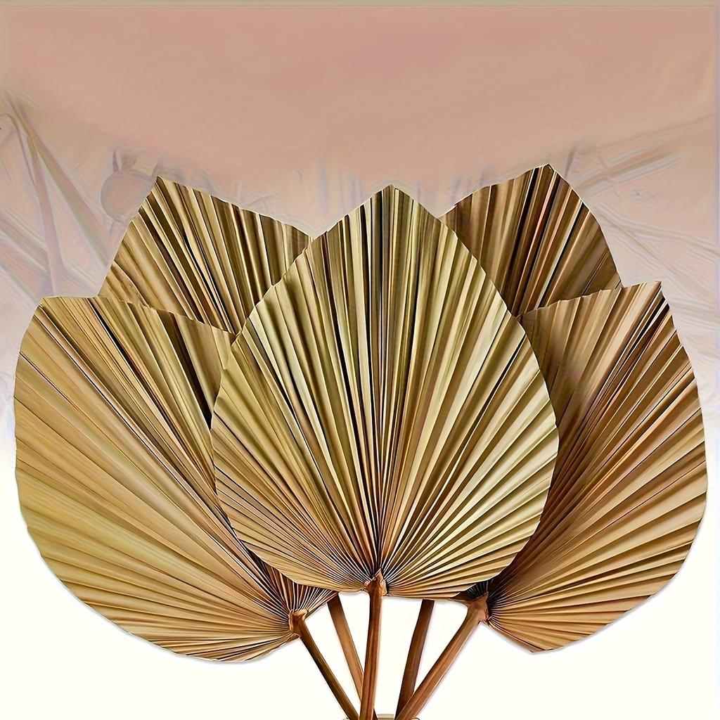 Веер из тропических листьев в стиле бохо, с цветочными стеблями, подходит для ваз, больших свадебных украшений в стиле бохо, домашнего декора, юбилеев