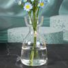 1 Pc Avocado Seed Starter Vase Transparent Glass Vase Vase For Growing Plant Glass Seed Growing Kit For Gardening Lovers