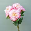 1Pc??Artificial Flower?Realistic?Easy Care?2-head?No Fade Peony Fake Flower?for Wedding?
