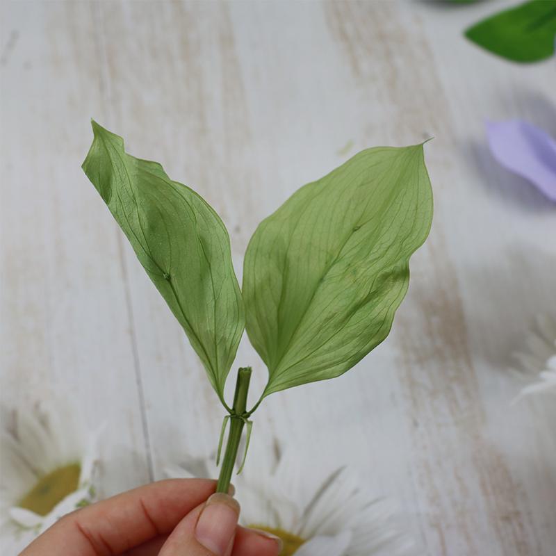DIY Floral Art Ornament: Preserved Tangerine & Fishtail Leaf, Lily, Bamboo Dried Flowers – Ikebana Photo Prop for Home Décor.