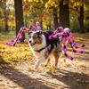 LED Purple Lights Halloween Pet Spider Costume Furry Pet Cosplay Costume  Halloween Party