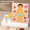Yousheng Body Parts Puzzle Matching Game Educational Human Body Structure Anatomy Puzzle Board Kids Toddlers Wooden Body Puzzle Learning STEM Toy