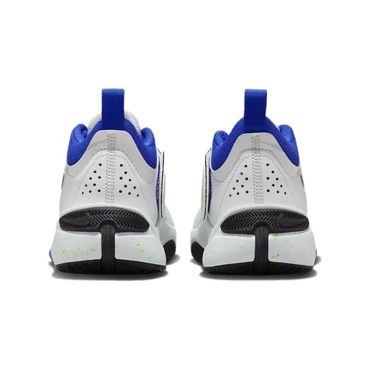 Nike Team Hustle D11 GS Green Strike Racer Синие детские кроссовки White Summit-White Pure-Platinum DV8996-101