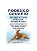 Книга Podenco Canario. Podenco Canario Complete Owners Manual. Podenco Canario Book for Care, Costs, Feeding, Grooming, Health and Training.