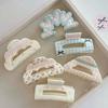Acrylic Material Shark Hair Clip Triangle Flower Hair Claw Geometry Ponytail Clip  Hair Ornament