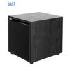 SAST Active Home Theater & KTV Subwoofer