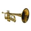 Professional Bb Trumpet Brass Polished with Mouthpiece Best for Gift