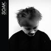 Виниловая пластинка SOAK - Before We Forgot How To Dream RTRADLP743 Rough Trade 2015 Великобритания Рок