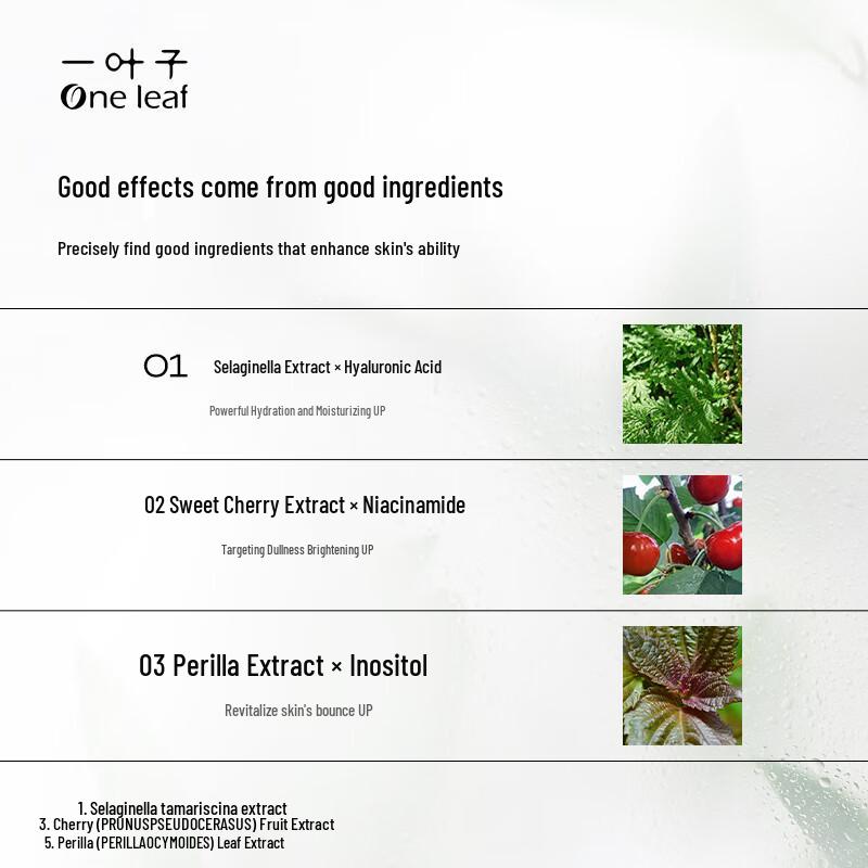 One Leaf Genius Hydrating Mask Gift Set