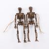Sketch Skeleton Decoration Skeleton Model Skeleton Ornament Simulation Skeleton Human Anatomical