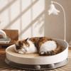 Wear Resistant Cat Scratch Board Round Cat Turntable Toy Teasing Cat Stick  Indoor Play