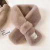 Autumn and Winter Temperament Double-sided Plush All-matching Warm Collar