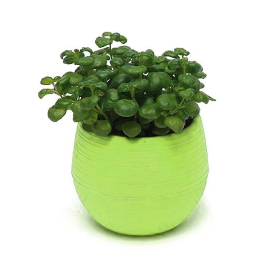 Милые суккулентные растения цветочный горшок блюдце поднос плантатор домашний стол садовый декор