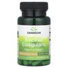 Swanson, Bacillus Coagulance, 6 млрд КОЕ, 60 растительных капсул