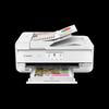 Canon TS9580t A3 Беспроводной МФУ CN вилка (адаптер в комплекте)
