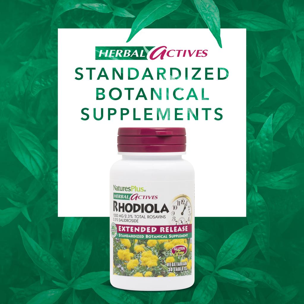 NaturesPlus Herbal Active, Rhodiola Rosea, Long-lasting Absorption Into the Body, 1000 Mg, 30 Vegetable Tablets