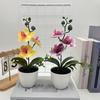 Butterfly Orchid Artificial Plant Home Decor Wedding Photography Prop With Plastic Material For Indoor Use