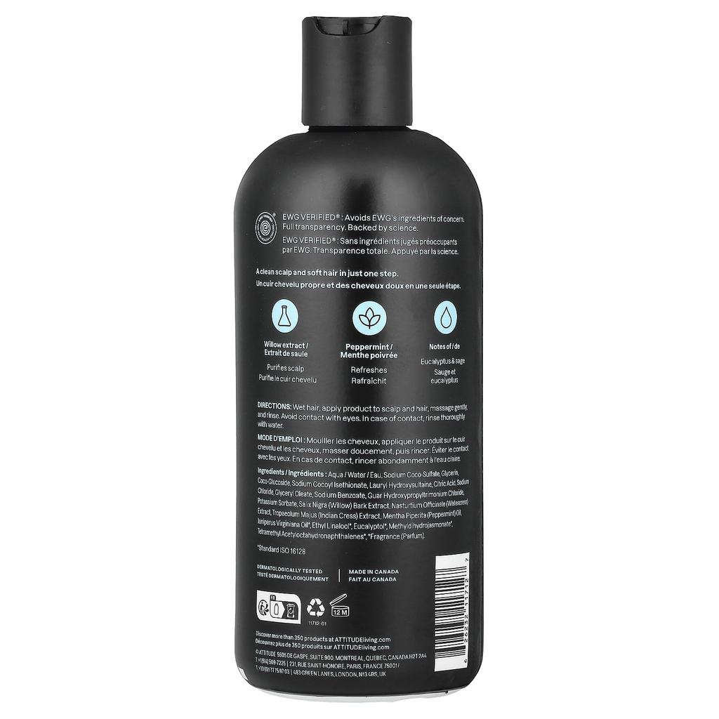 ATTITUDE, Super Leaves™, 2N1 Scalp Care Shampoo & Conditioner, Men, Eucalyptus and Sage, 14 fl oz (415 ml)