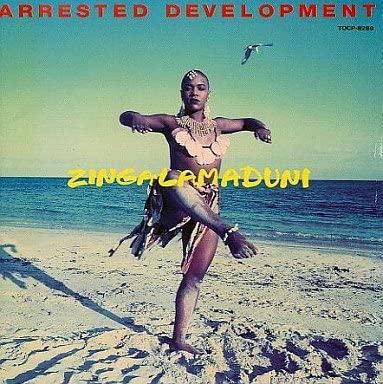 CD ARRESTED DEVELOPMENT Zingalamaduni TOCP8288 CHRYSALIS 1994 Япония Рэп Хип-Хоп R&B Б/у