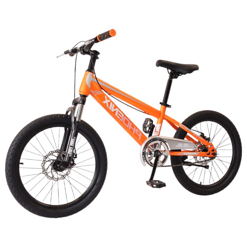 Phoenix 20-inch Student Bicycle Beta TT-20