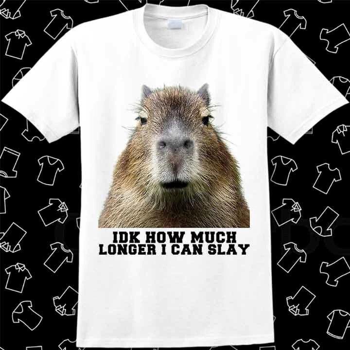 Idk How Much Longer Opossum I Can Slay Capybara Sarcastic Dank T Shirt Gift 907