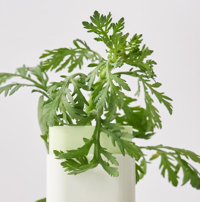 Beauty of Joseon Матирующий солнцезащитный стик с полынью SPF50+ PA++++ – 18 г