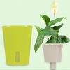 Creative Self-watering Flower Cup Desktop Self-Watering Flower Pot Planters (Color: Random)