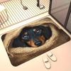 Yousheng Реалистичный коврик для пола с животными 3D ковер с оптической иллюзией Коврик для входа с милым котом Нескользящий коврик для собак для ванной комнаты, кухни, гостиной, спальни