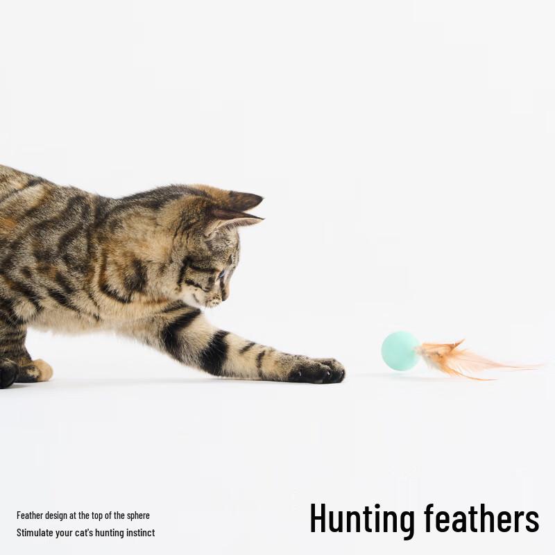 Pidan Cat Bouncy Balls (3-Pack)