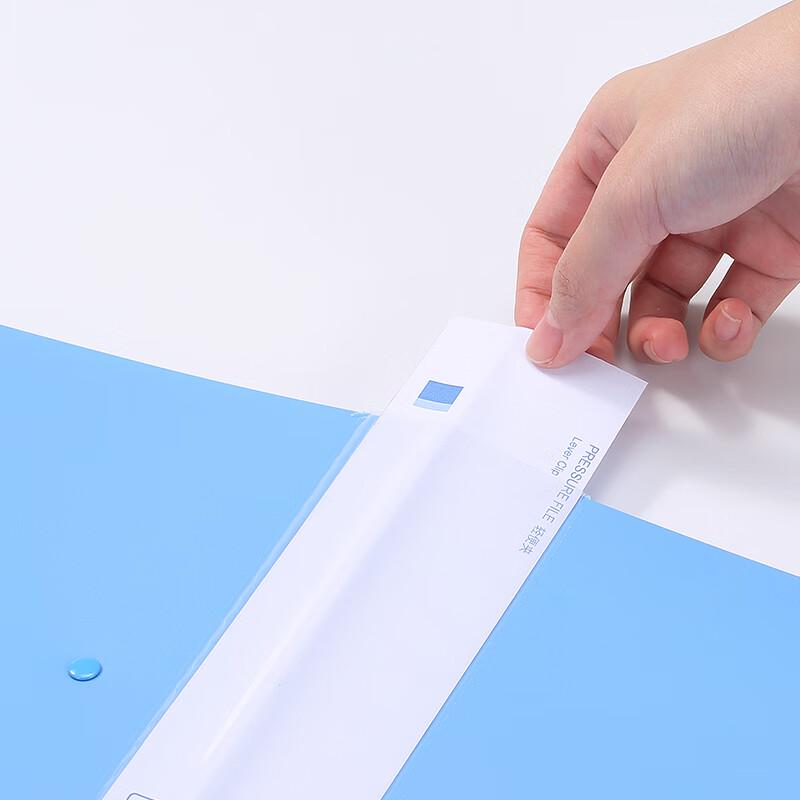 A4 Double Strong Clip File Folders (10-Pack)