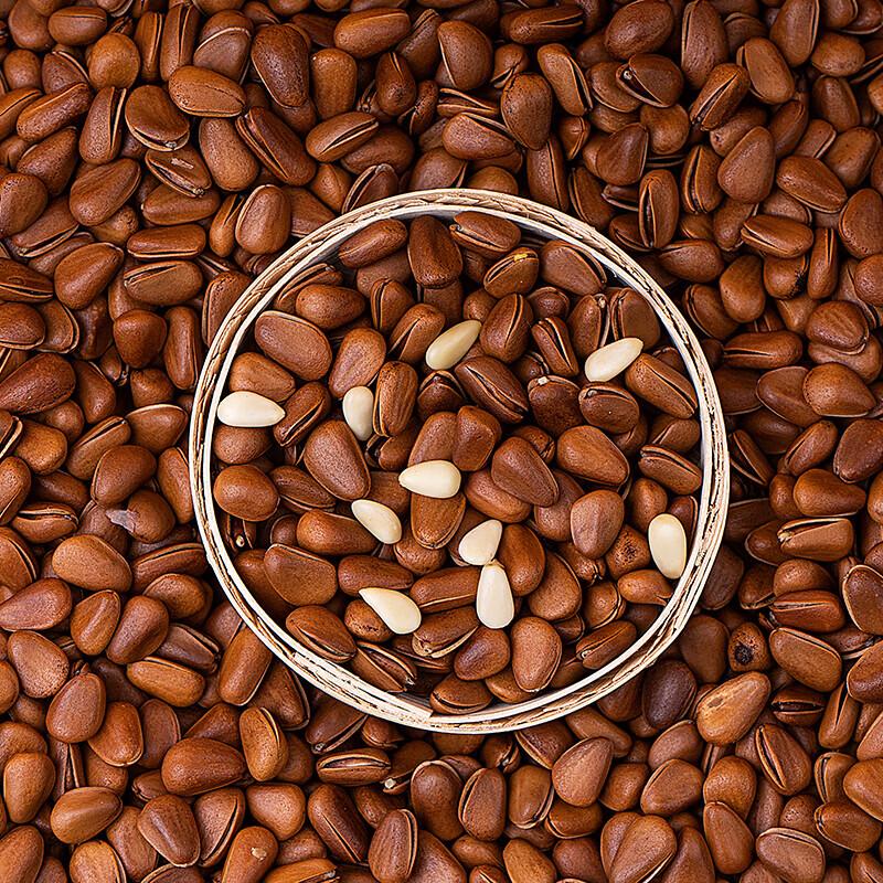 Golden Fruit Farmer Roasted Pine Nuts
