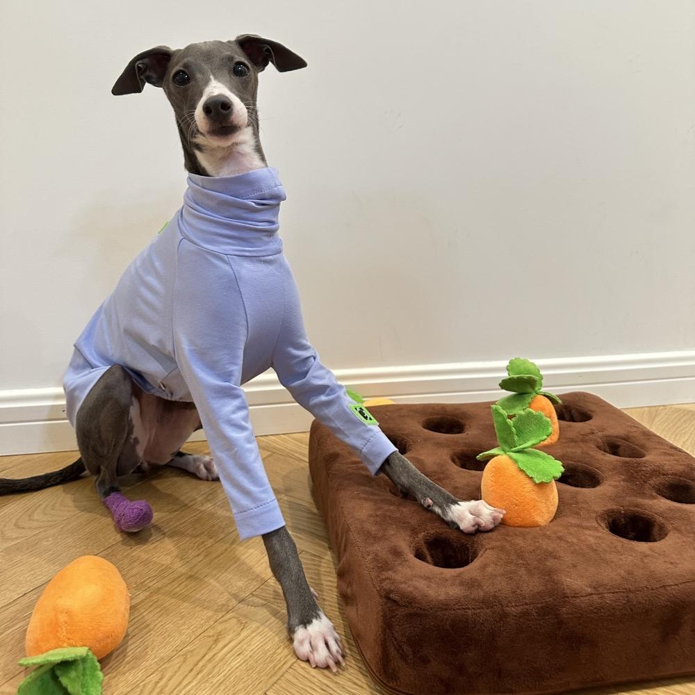 Мягкая голубая хлопковая футболка для Huibit, одежда для собак, эластичное весенне-осеннее пальто для Bedlington Little Greyhound, пижама с высоким воротом