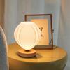 Simple LED Flower Table LampDleep Bedside Sleep Bedside Lamp Bedroom Desktop Decor Atmosphere LED Flowers Decor Table Lamp