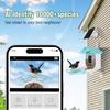 Bird Feeder with Camera AI Identify Birds Species Solar Powered Auto Record Videos In Backyard Instant Notifications Bird Lovers